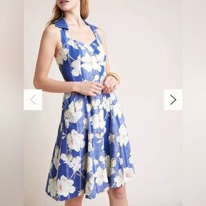 Anthropologie Camellia Collared Dress Sz 2 Cottagecore Pinup Girl